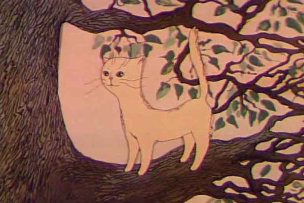 кот6.jpg