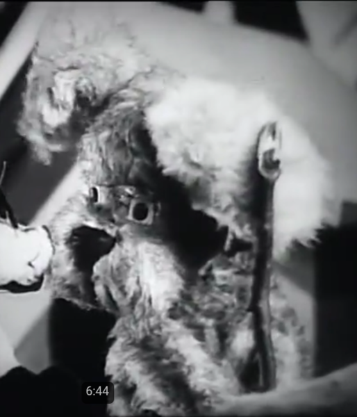 Screenshot_2017-07-04-18-36-26-1.png (413.16 КБ) 2603 просмотра Screenshot_2017-07-04-18-36-26-1.png