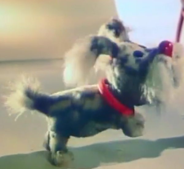 Screenshot_2017-07-11-04-17-07-1.png (314.16 КБ) 2679 просмотров Screenshot_2017-07-11-04-17-07-1.png