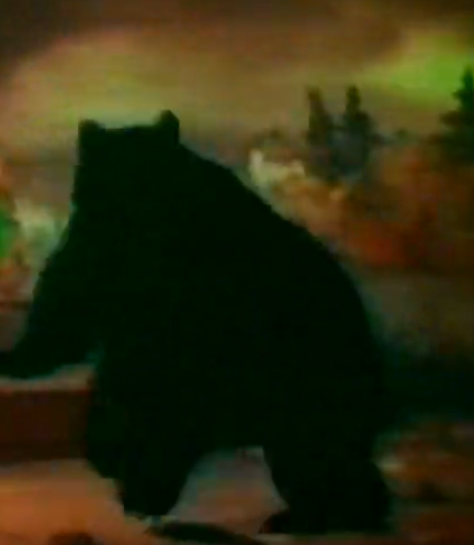 Bear_19.png