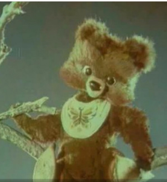 Медведь 62.jpg