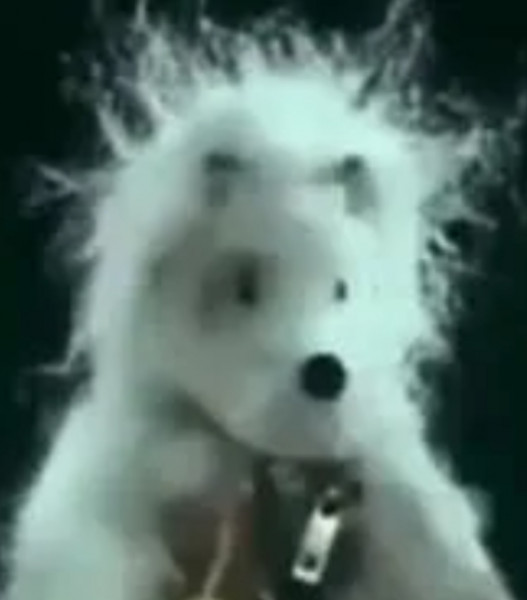 Медведь 67.jpg (201.07 КБ) 1687 просмотров Медведь 67.jpg