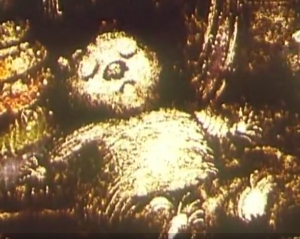 Медведи 85.jpg