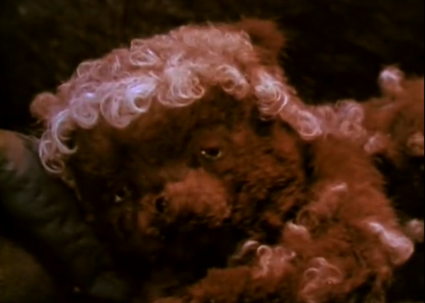 Снимок экрана (306).png