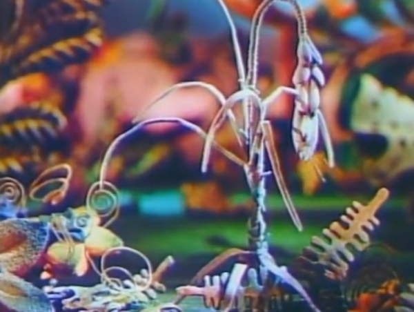 Plants_07.png