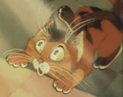Cat_12.jpg