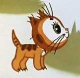 Cat_16.jpg
