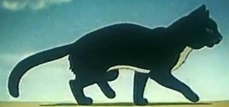 Cat_17.jpg