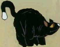 Cat_22.jpg