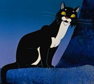 Cat_26.jpg