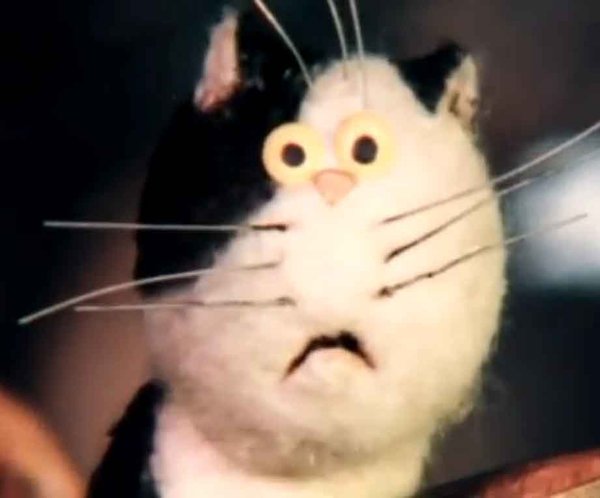 Котя-41.jpg