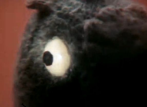 Cat_29.jpg