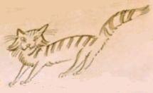 Cat_34.jpg