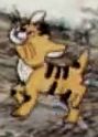 Cat_51.jpg