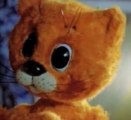 Cat_54.jpg