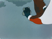 Лягушка-путешественница