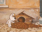 Рекс осенью