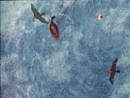 Кадр из мультфильма "Прежде мы были птицами"