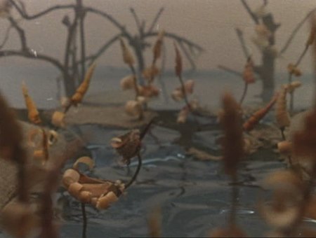 Кадр из мультфильма "Тихое болото"
