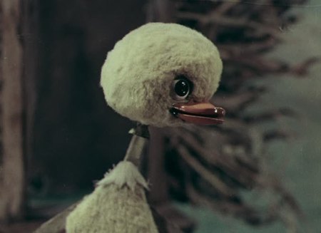    ",  !"